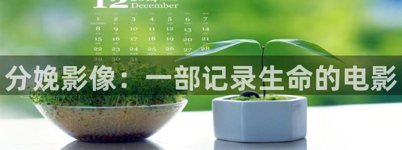 紅葉影城電影：分娩影像：一部記錄生命的電影